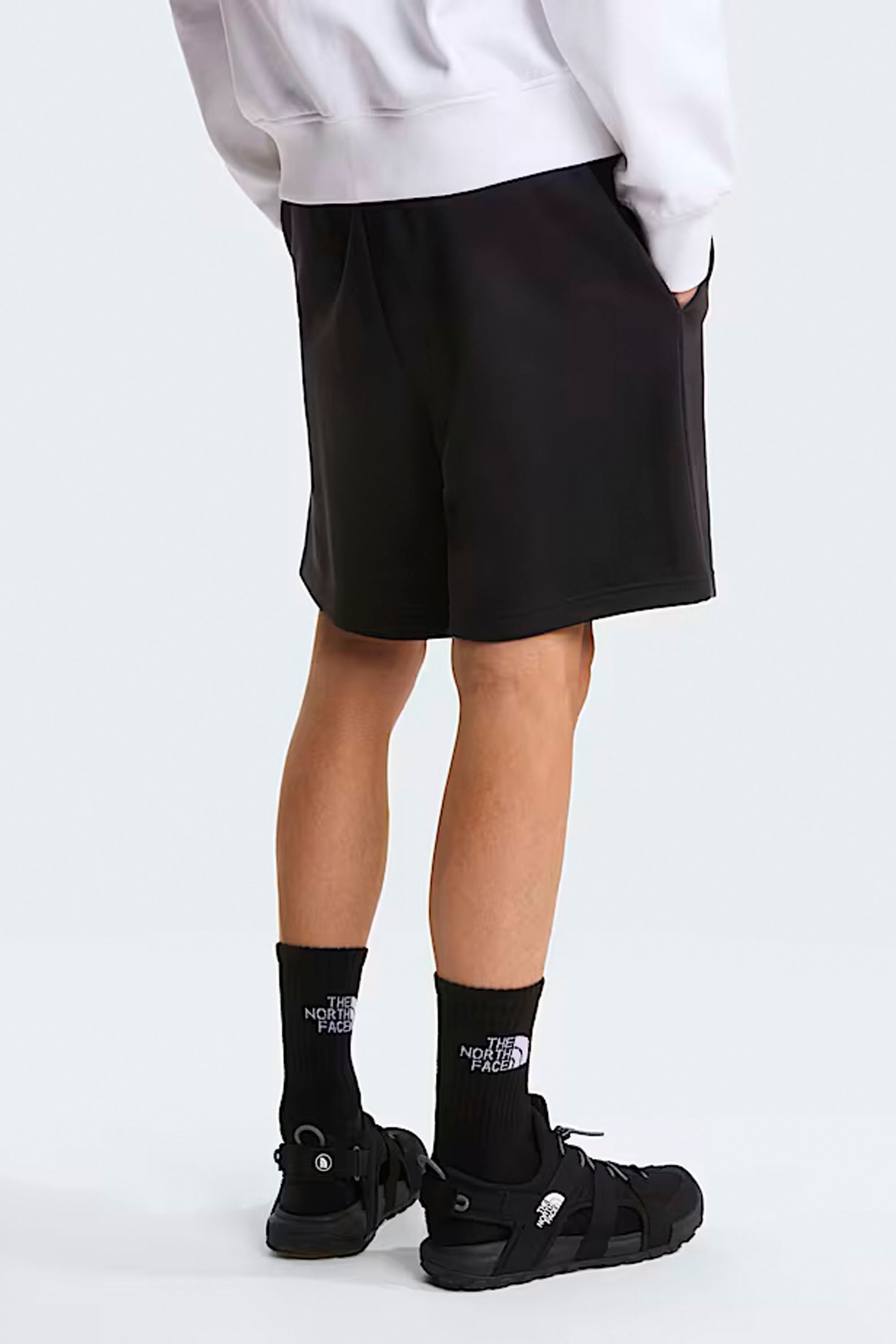 THE NORTH FACE - BOX NSE LIGHT REGULAR SHORTS