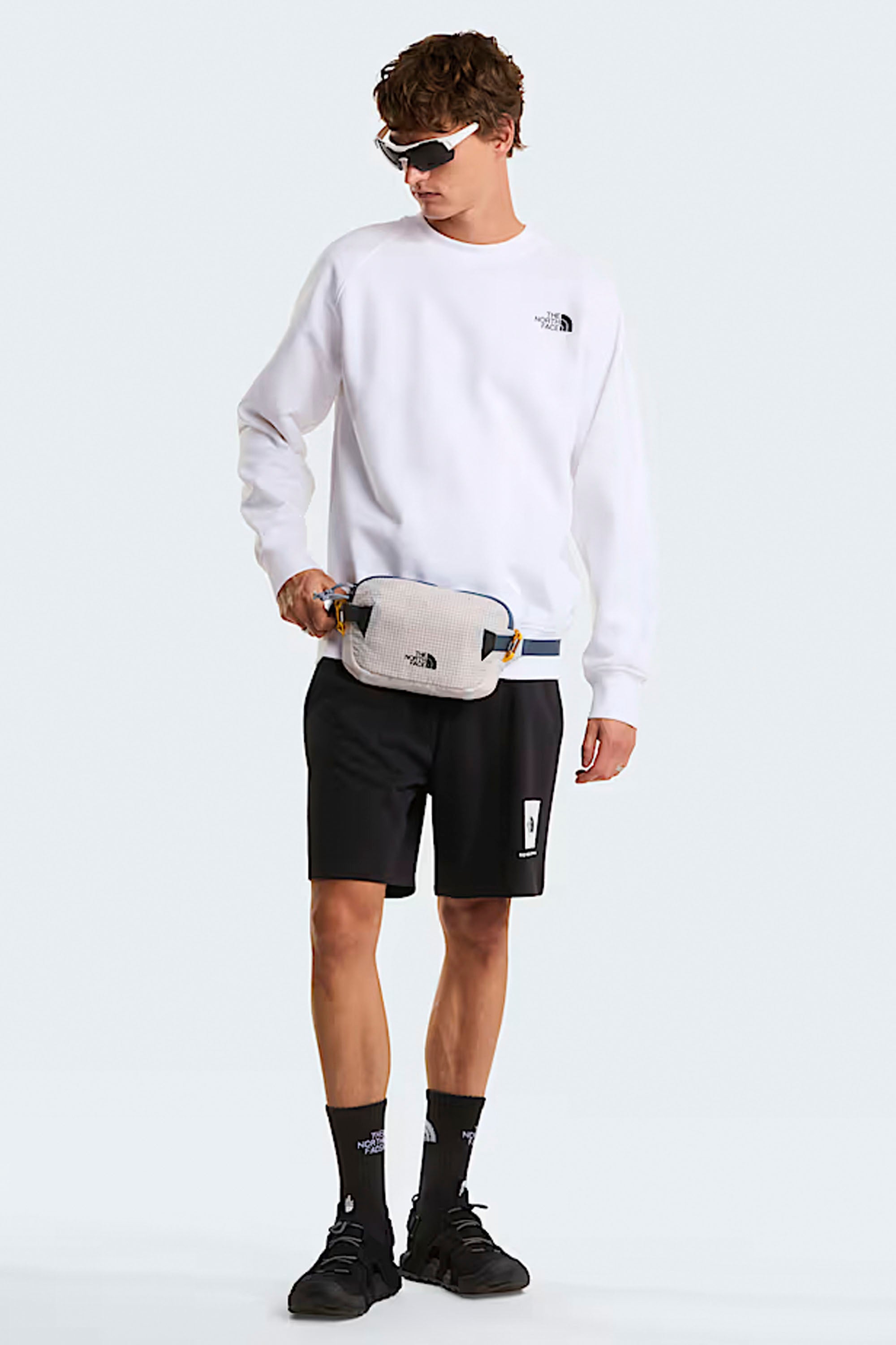THE NORTH FACE - BOX NSE LIGHT REGULAR SHORTS