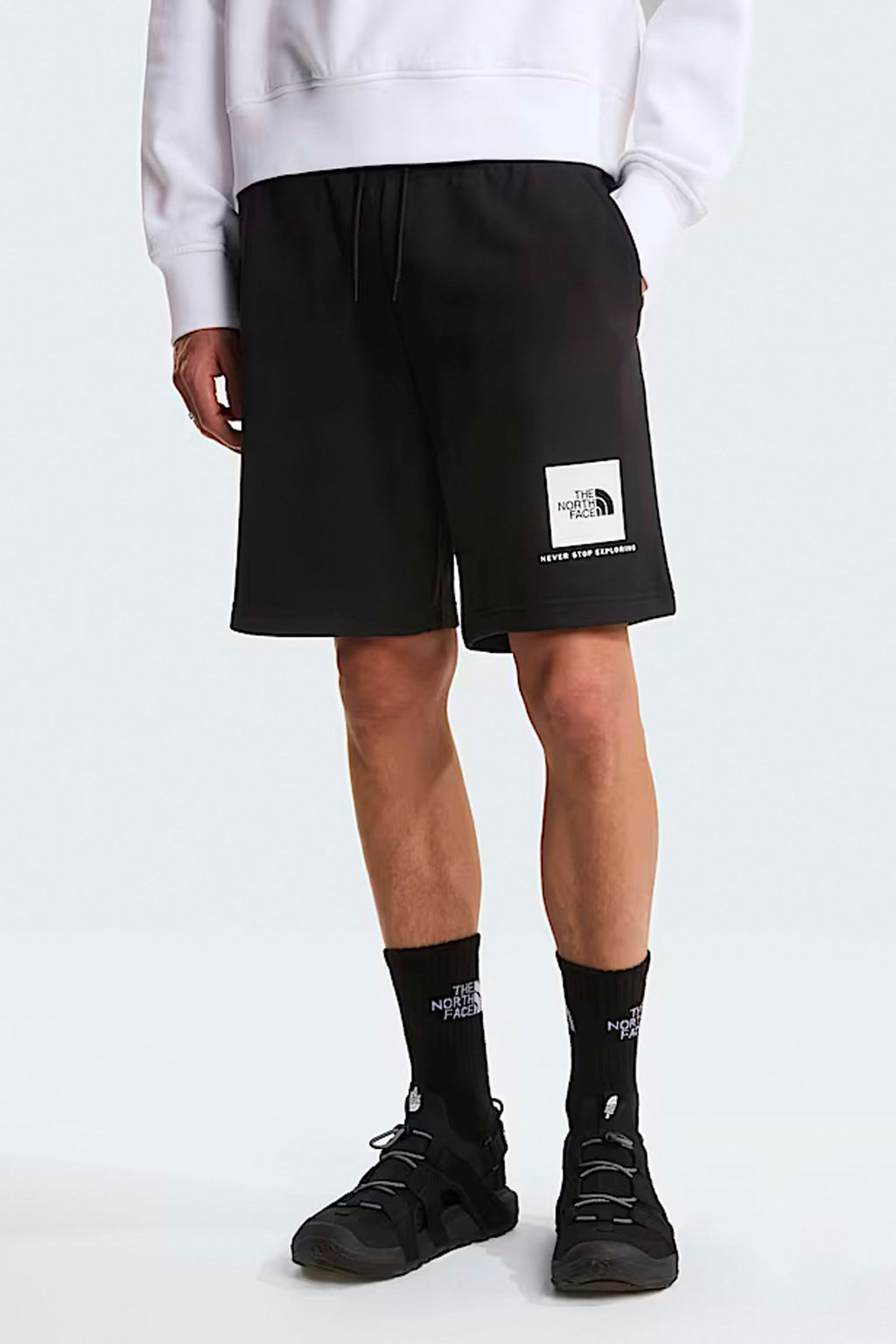 THE NORTH FACE - BOX NSE LIGHT REGULAR SHORTS